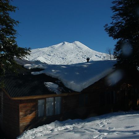 Vista Hermosa Conguillio Villa Eksteriør billede