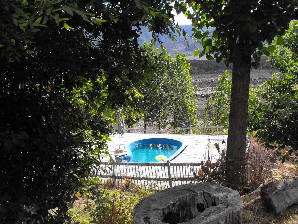 Vista Hermosa Conguillio Villa Eksteriør billede